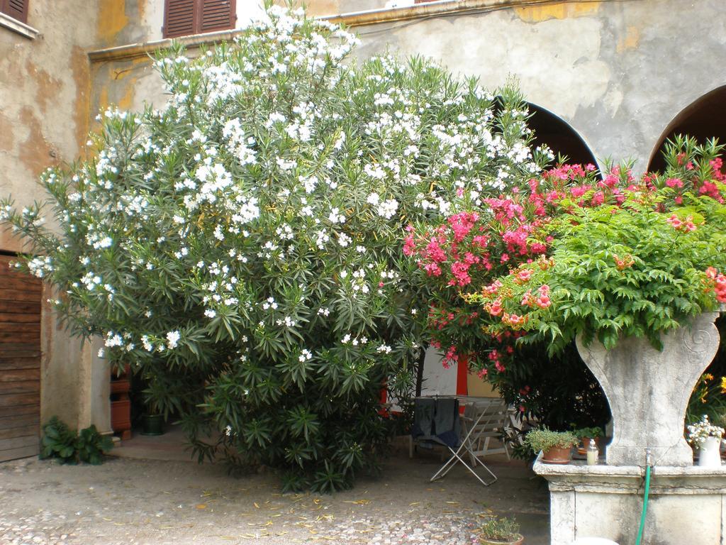 Corte Dall'Era Bed and Breakfast Brescia Buitenkant foto